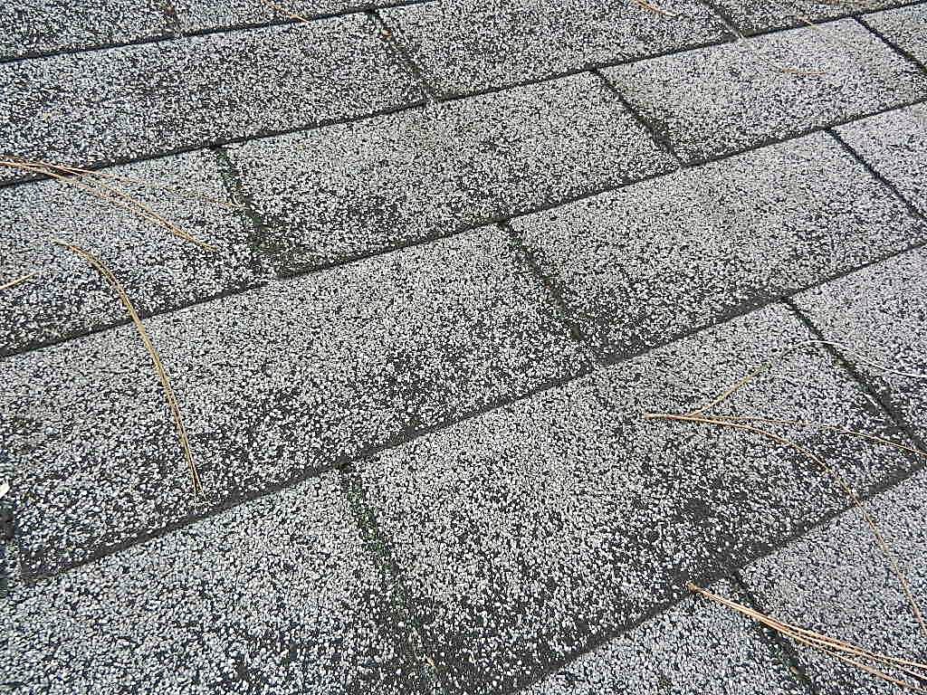 Spotting Hail Damage